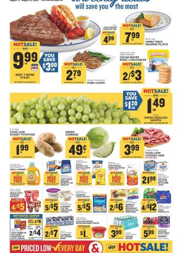 Foodlion offer thumb