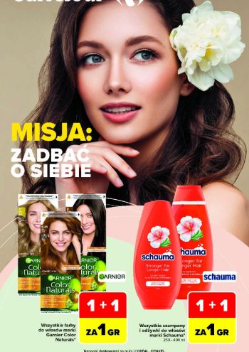 Carrefour offer thumb