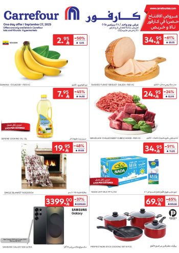 Carrefour offer thumb