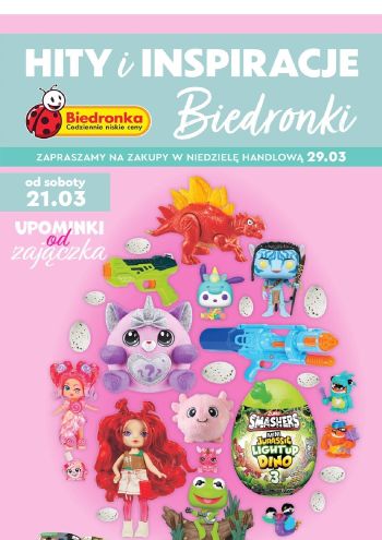 Biedronka offer thumb