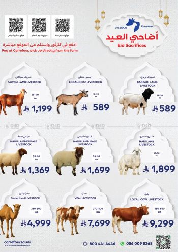 Carrefour offer thumb